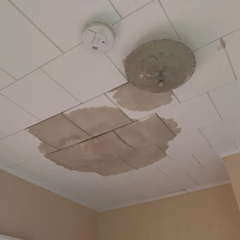 Ceiling Water Damage Repair in Marion, IN