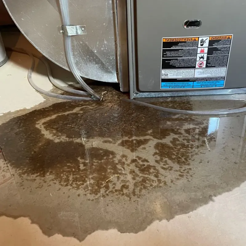 Pipe Burst and Leak Restoration in Marion, IN