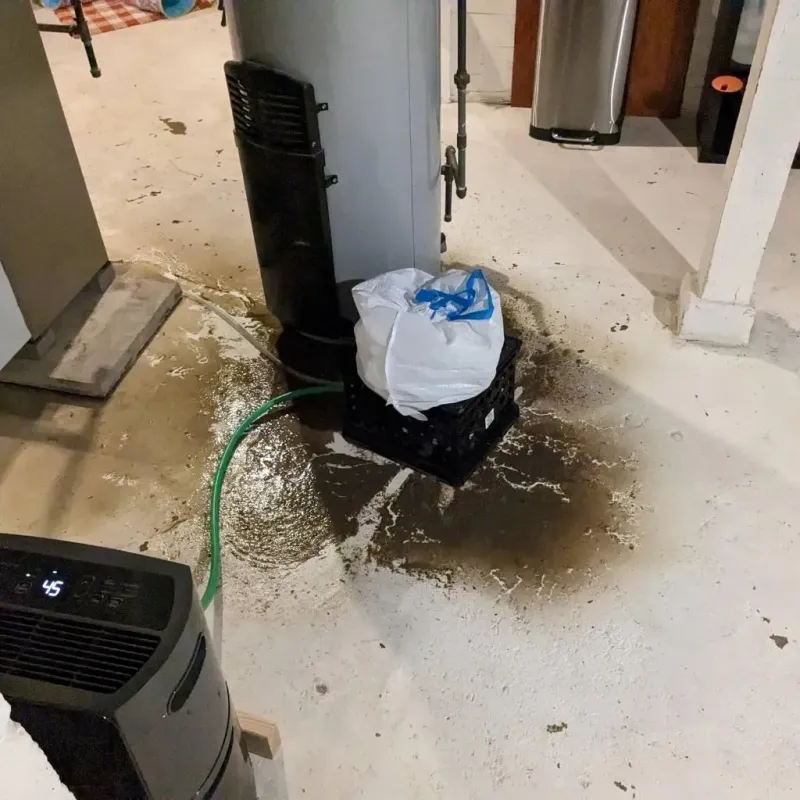 Sewage Backup Cleanup Service in Marion, IN